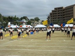 IMG_3450.jpg