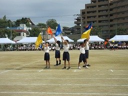 IMG_3455.jpg