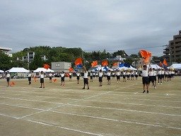 IMG_3457.jpg