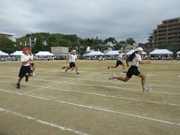 IMG_3460.jpg