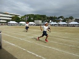 IMG_3463.jpg