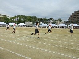 IMG_3468.jpg