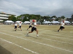 IMG_3469.jpg