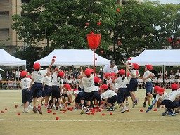 IMG_3472.jpg