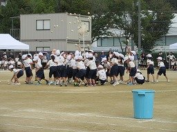 IMG_3473.jpg