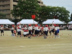 IMG_3474.jpg