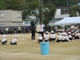 IMG_3477.jpg