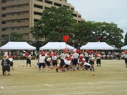 IMG_3478.jpg