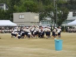 IMG_3479.jpg