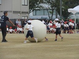 IMG_3481.jpg