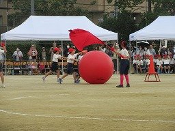 IMG_3482.jpg