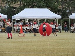 IMG_3483.jpg