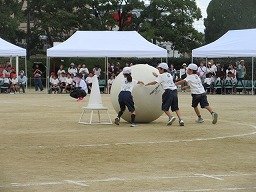 IMG_3484.jpg