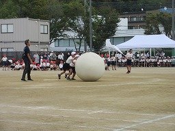 IMG_3485.jpg