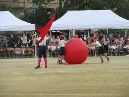 IMG_3486.jpg