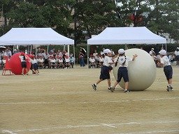 IMG_3488.jpg