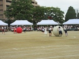 IMG_3490.jpg