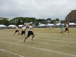 IMG_3495.jpg