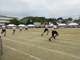 IMG_3497.jpg