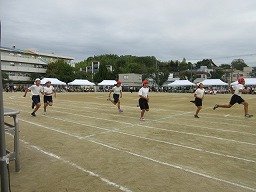 IMG_3500.jpg