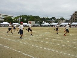 IMG_3501.jpg