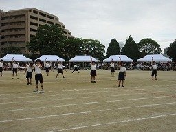 IMG_3510.jpg