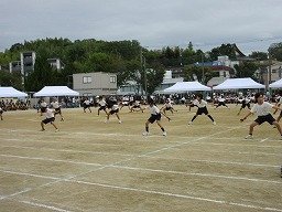 IMG_3511.jpg