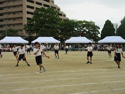 IMG_3512.jpg