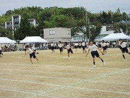 IMG_3513.jpg