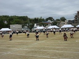 IMG_3519.jpg