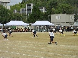IMG_3521.jpg
