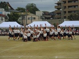 IMG_3524.jpg