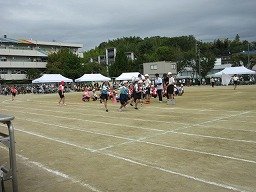 IMG_3526.jpg