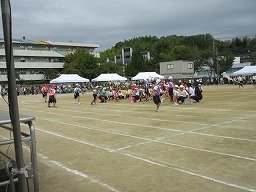 IMG_3527.jpg