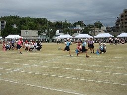 IMG_3528.jpg