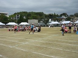 IMG_3529.jpg