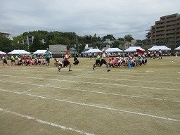 IMG_3531.jpg