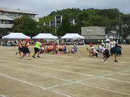 IMG_3532.jpg