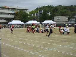 IMG_3533.jpg