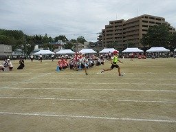 IMG_3534.jpg