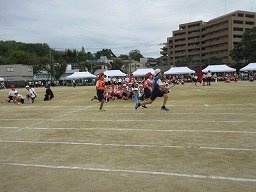 IMG_3535.jpg