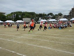 IMG_3536.jpg