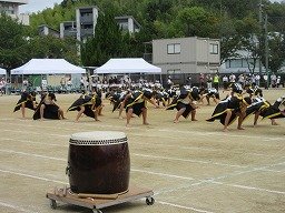 IMG_3549.jpg