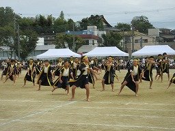 IMG_3551.jpg