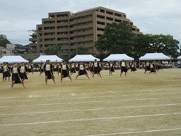 IMG_3552.jpg