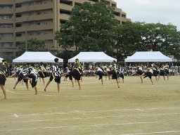 IMG_3560.jpg