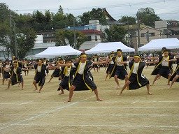 IMG_3562.jpg