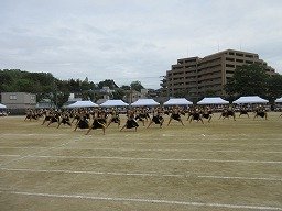 IMG_3565.jpg