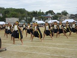 IMG_3572.jpg