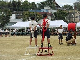IMG_3577.jpg